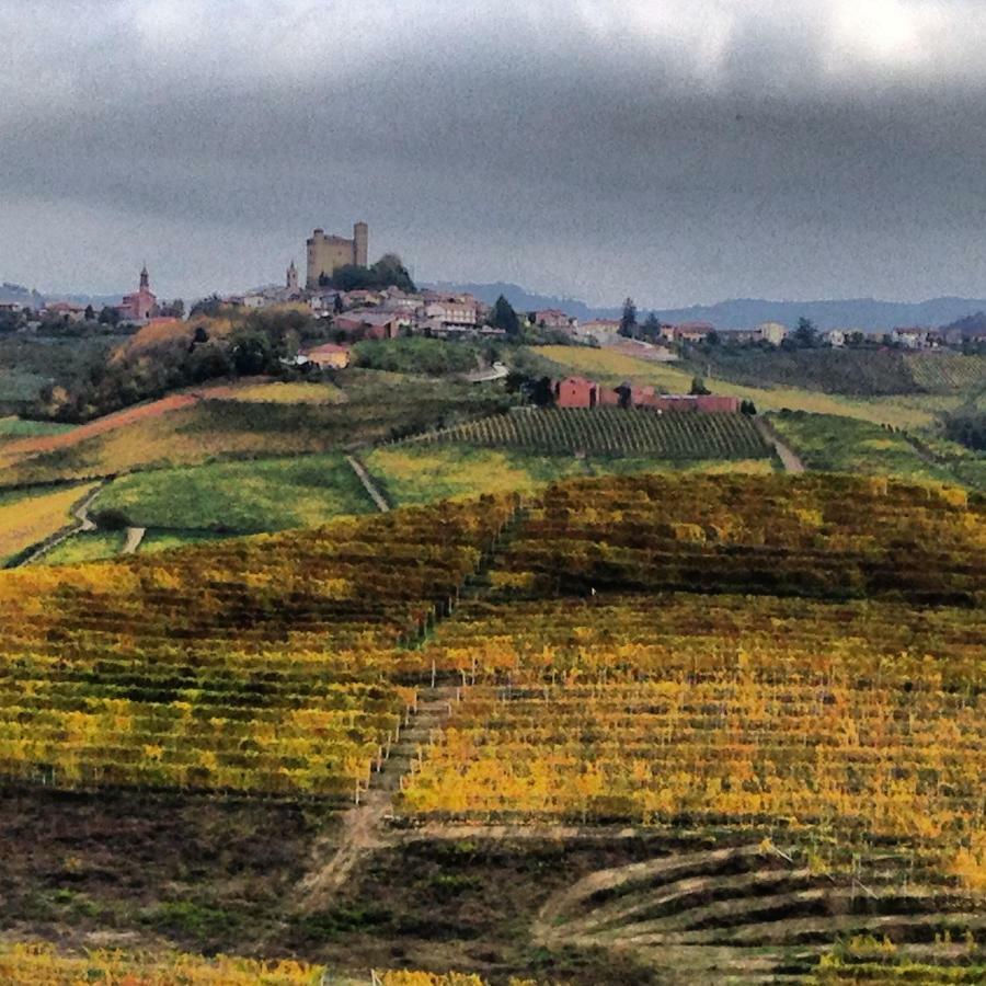 فيلا Cascina Maina Diano dʼAlba المظهر الخارجي الصورة